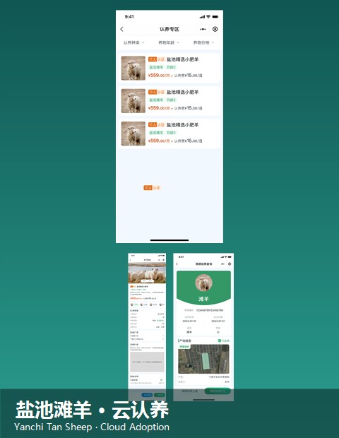 Yanchi Tan Sheep cloud-adoption WeChat mini program — adoption, live monitoring and full traceability screens
